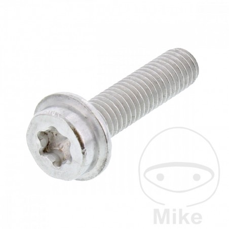 JMP Screw M6X1.0X30 MM 717.18.63