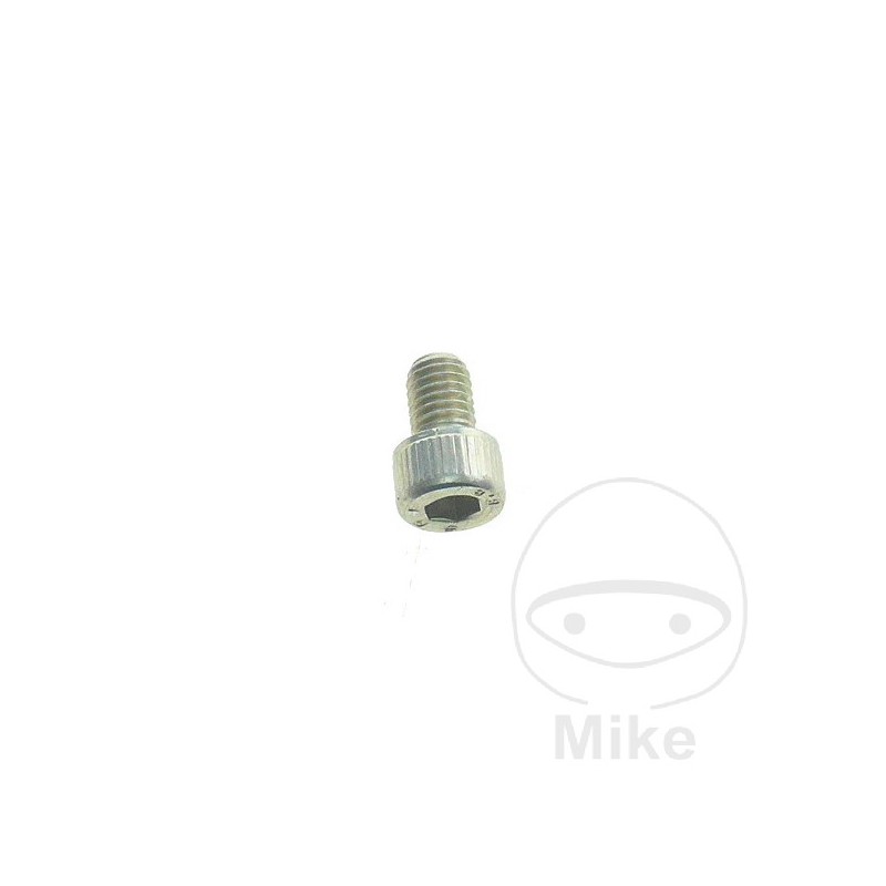 Tornillo OEM M8X12 MM 756.20.87
