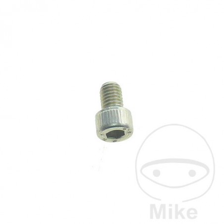Screw OEM M8X12 MM 756.20.87