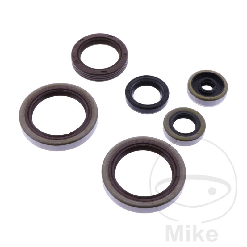 ATHENA Engine seal set 7348100