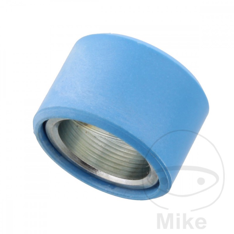 Rodillo de variador 21 G OEM 25 X 17 738.60.08