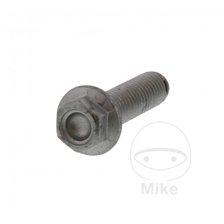 Tornillo hexagonal OEM 30 MM M8X1.25 717.01.29