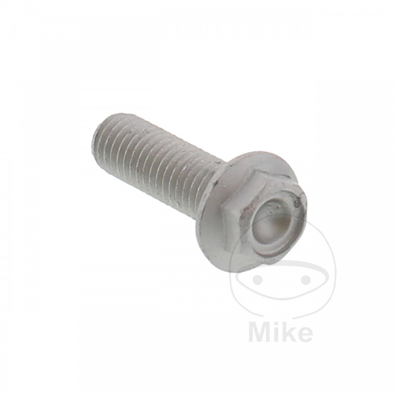 Hexagonal screw OEM 25 MM M8X1.25 717.04.66