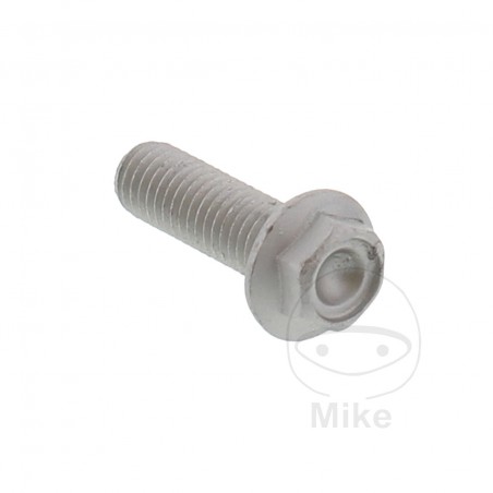 Tornillo hexagonal OEM 25 MM M8X1.25 717.04.66