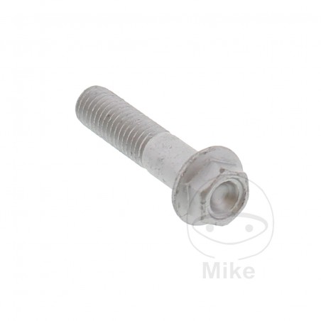 Hexagonal screw OEM 35 MM M8X1.25 717.04.67