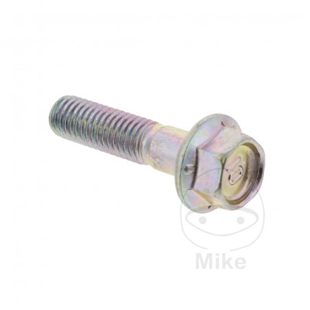 Tornillo OEM M8X1.25X33 MM 717.04.10