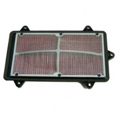 HIFLOFILTRO Filtro de aire HFA3903 18969