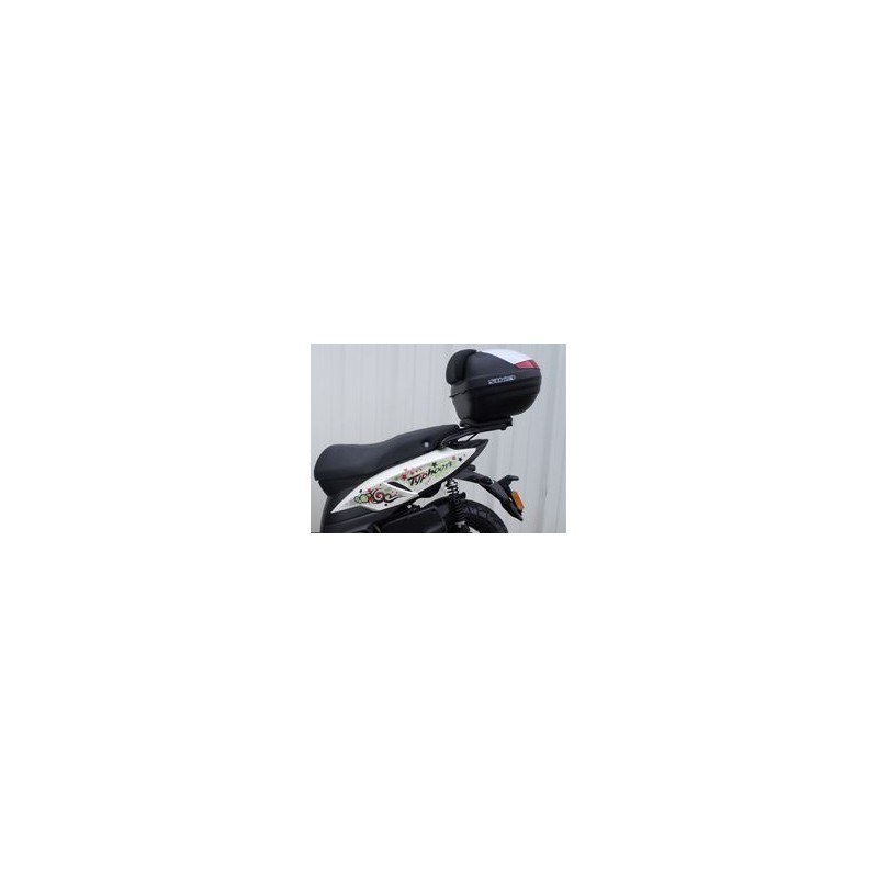 SHAD Anclajes soportes fijaciones herraje baul maleta Top Master V0TH11ST