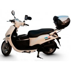 SHAD Anclajes soportes fijaciones herraje baul maleta Top Master Y0DL53ST