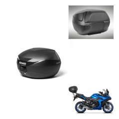SHAD Trunk SH39 + mounting bracket backrest KIT-437372