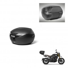 SHAD Baul SH39 + soporte montaje respaldo KIT-437416