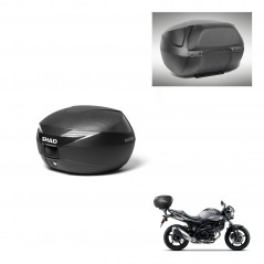 SHAD SH39 carbon trunk + mounting support backrest KIT-439090