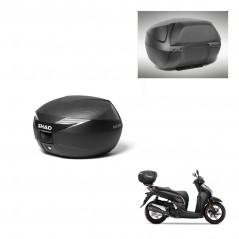 SHAD SH39 carbon trunk + mounting support backrest KIT-439194