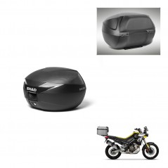 SHAD Baul SH39 carbon + soporte montaje respaldo KIT-439334