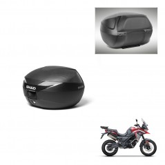 SHAD Baul SH39 carbon + soporte montaje respaldo KIT-439374