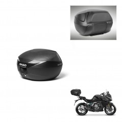 SHAD Baul SH39 carbon + soporte montaje respaldo KIT-439450