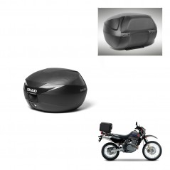 SHAD SH39 carbon trunk + mounting support backrest KIT-439466