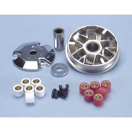 variator  polini