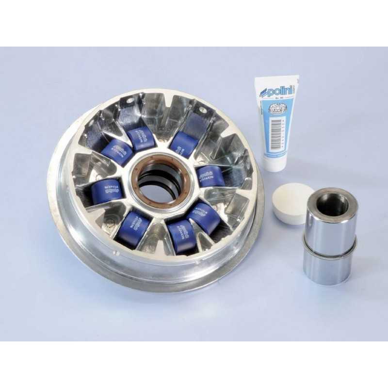 POLINI Variador PLN241663