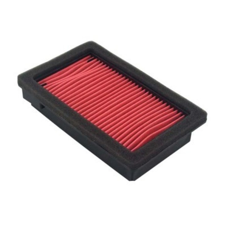 HIFLOFILTRO Filtro de aire HFA4613 19008