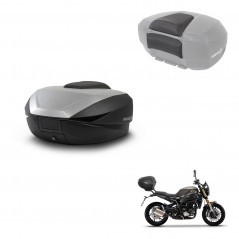 SHAD Trunk SH59 + mounting bracket backrest 59L KIT-443939