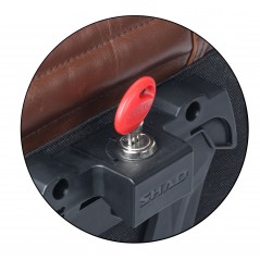 Rear saddlebag carrier