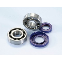 POLINI KIT DE AJUSTE Cigüeñal VESPA D 20 (2820006) PLN2820006