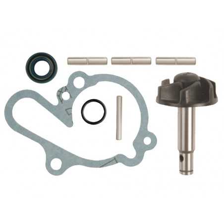 TECNIUM Kit de reparación eje para reparar bombas agua - Marca Tecniun 6216