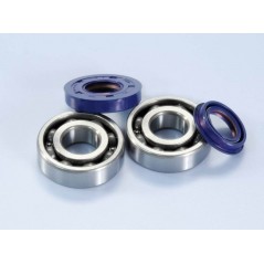 Kit, adjustment, crankshaft  (2820002)