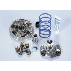 POLINI Variador PLN241710