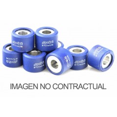 Roller, drive  28X20 G 29,0 (8pcs) (242233)