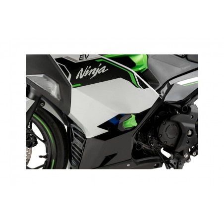 PUIG Protectores de motor modelo r19 21863