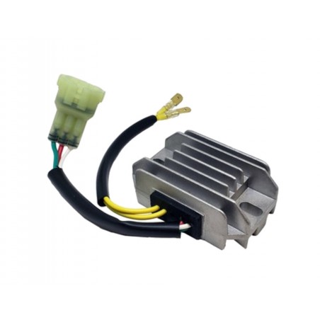 TECNIUM Alternator current regulator 2569 DZE 1123661