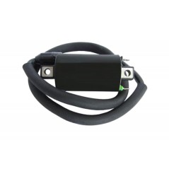 TECNIUM IGNITION COIL 4062 1124235