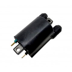 TECNIUM BOBINA DE ENCENDIDO 4060 1124236