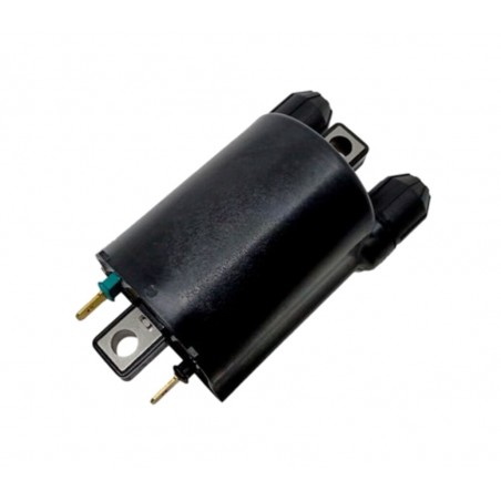 TECNIUM BOBINA DE ENCENDIDO 4060 1124236