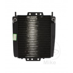 Radiador de agua OEM 776.01.91