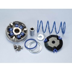 POLINI Variador PLN241675