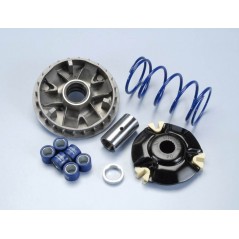 POLINI Variador PLN241686