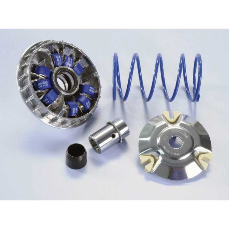 POLINI Variador PLN241665