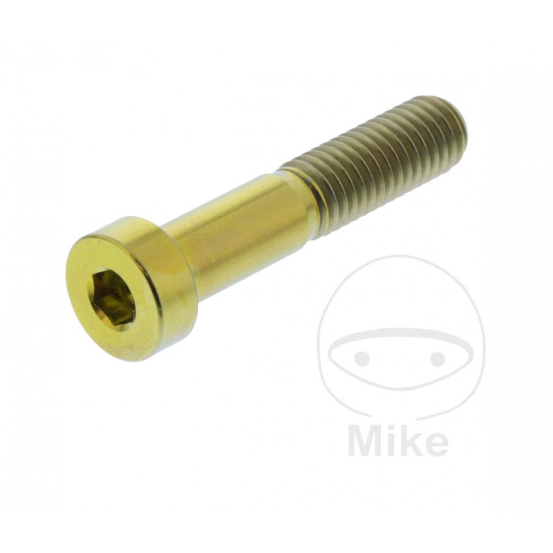 JMP Titanium hexagonal head cylindrical screw M8X1.25 MM 40 775.72.17