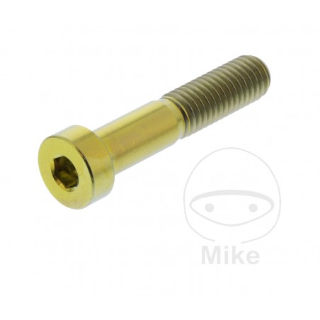 JMP Tornillo cilíndrico cabeza hexagonal de titanio M8X1.25 MM 40 775.72.17