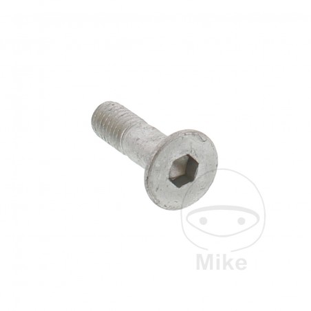 Countersunk screw OEM M8X1.25 MM 25 717.02.56