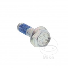 Tornillo hexagonal OEM 20 MM M6X1.00 717.02.45