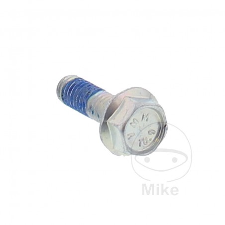 Hexagonal screw OEM 20 MM M6X1.00 717.02.45