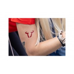 SW-MOTECH Temporary pack bull tattoo 60 X MM 10 0 WERGIV04110