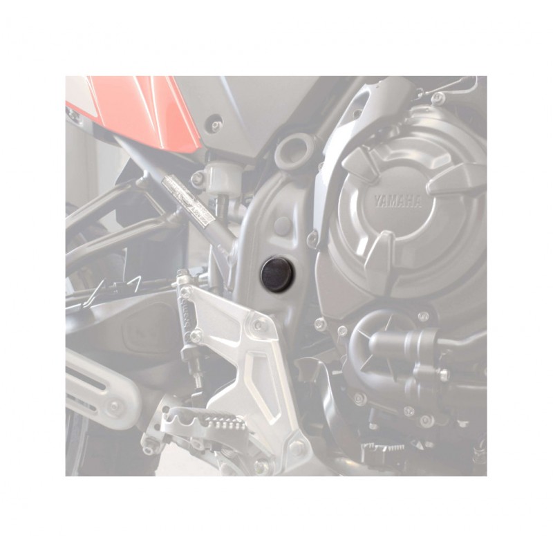 Chassis plugs