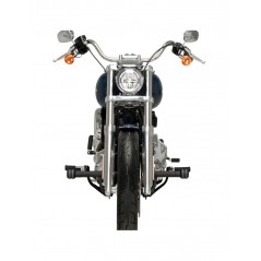 PUIG Engine guards for OPIE 21043