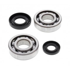 Kit, bearings and seals for crankshaft  24-1029