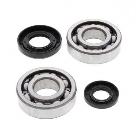 Kit, bearings and seals for crankshaft 24-1029